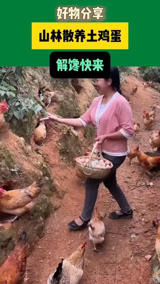 「伏羲山50枚」山林散养土鸡蛋营养健康正宗的士鸡蛋真的太划算了！刷到链接还在赶紧冲！