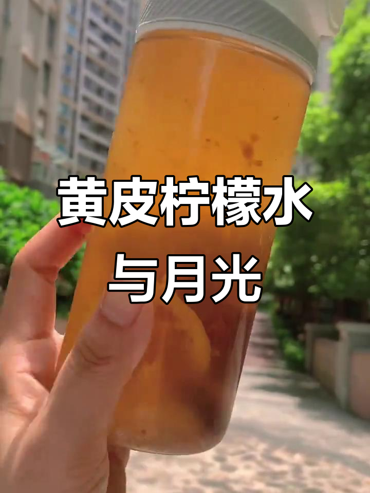 夏日雨后清凉,月光下的黄皮柠檬水与潮汕蜜饯鸡心果