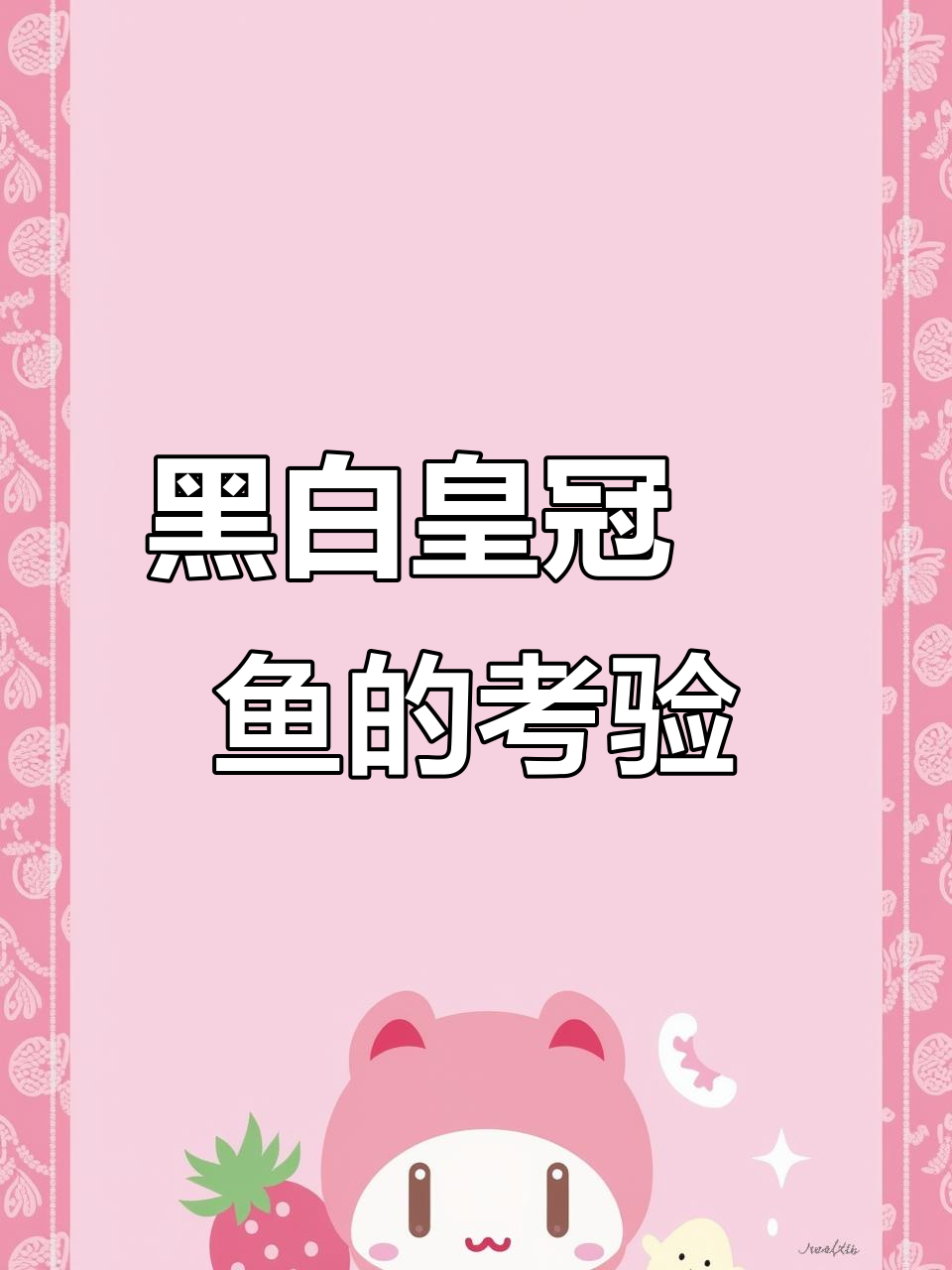 不听话就分开,黑白皇冠魟鱼挑战