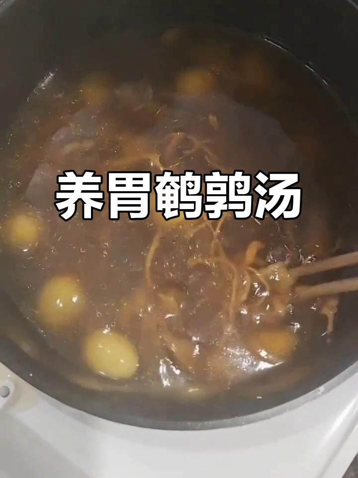 鹌鹑汤做法大揭秘,鲜美又养胃!