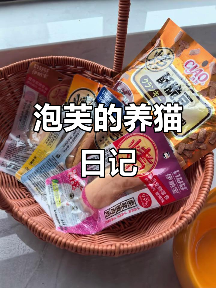 泡芙的猫咪日常：吃大宝猫粮和零食，吃得超开心