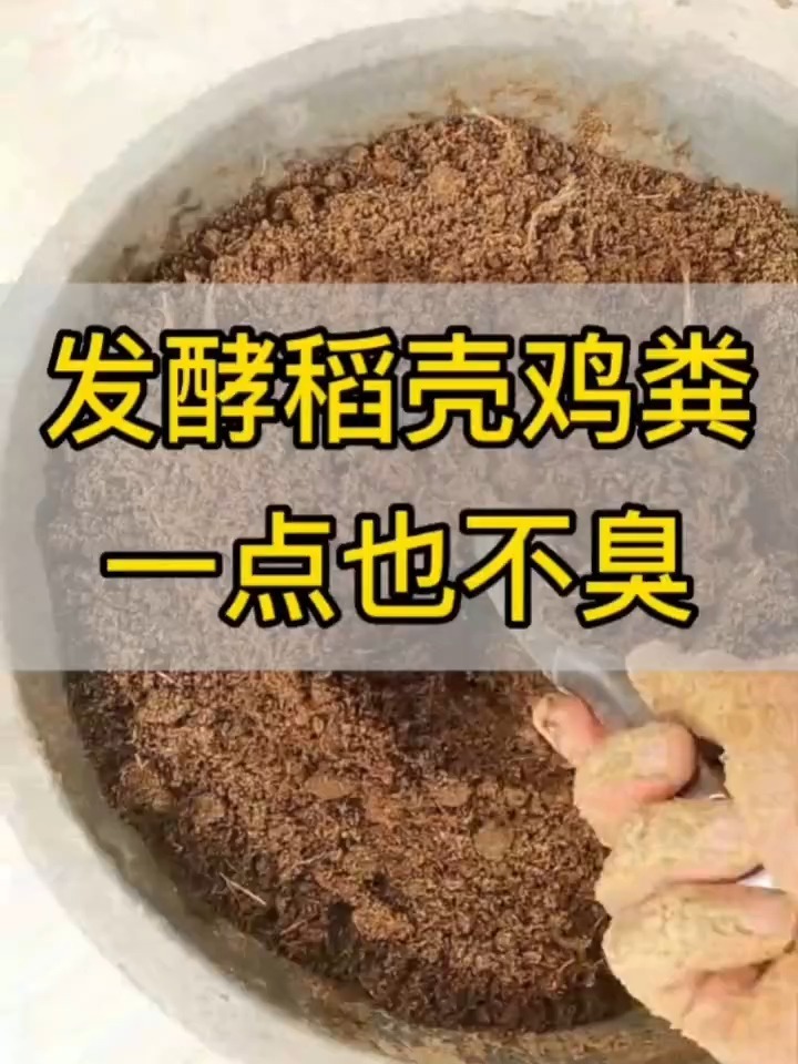 发酵鸡粪稻壳肥料一点也不臭阳台种花家庭用