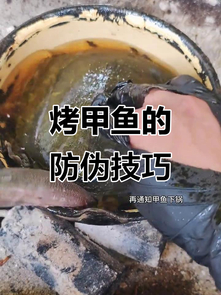 烤甲鱼登场,防伪技术大揭秘