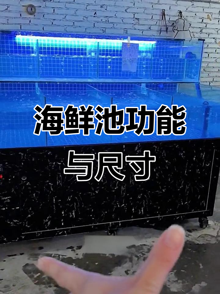 一米海鲜池详细参数解析，四格淡水鱼设计超实用