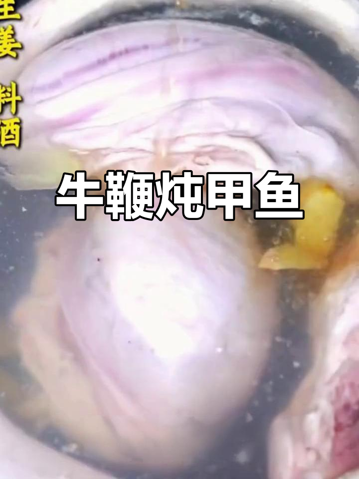 湖北襄阳特色牛鞭炖甲鱼，辣味十足，口感鲜美