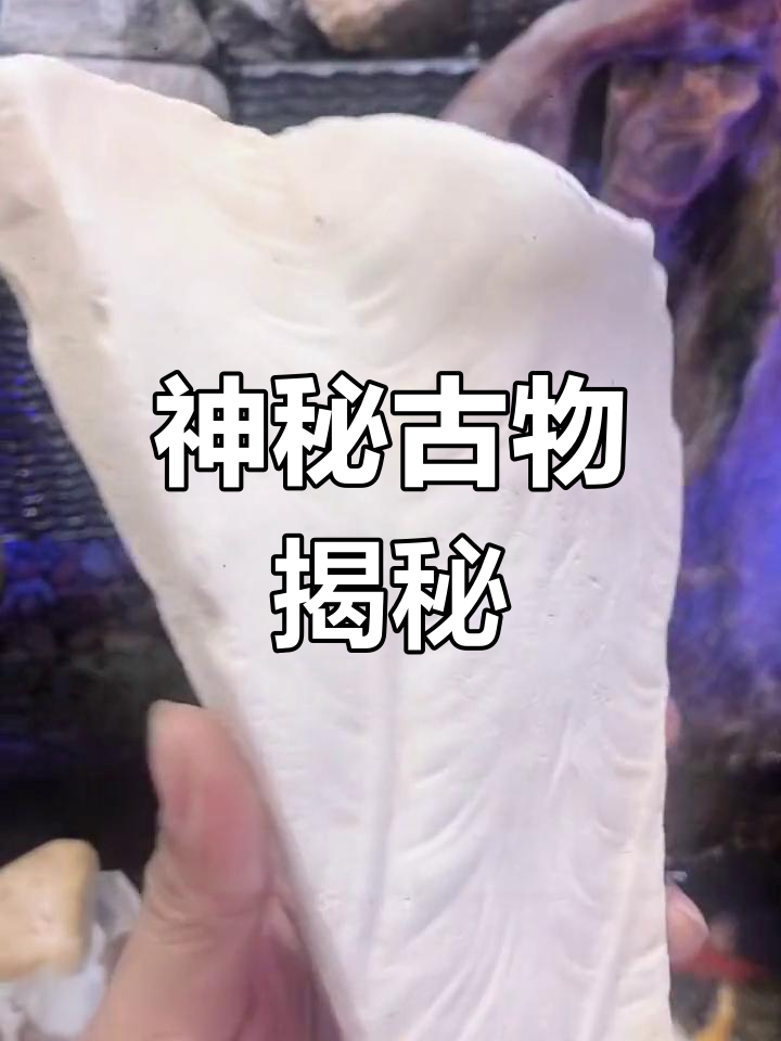 祖辈遗物,鱼骨化石?谁懂这神秘的东西?