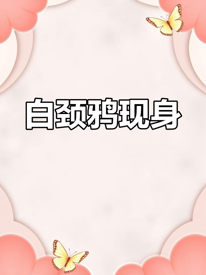 丽水惊现白颈鸦,罕见一级保护动物!