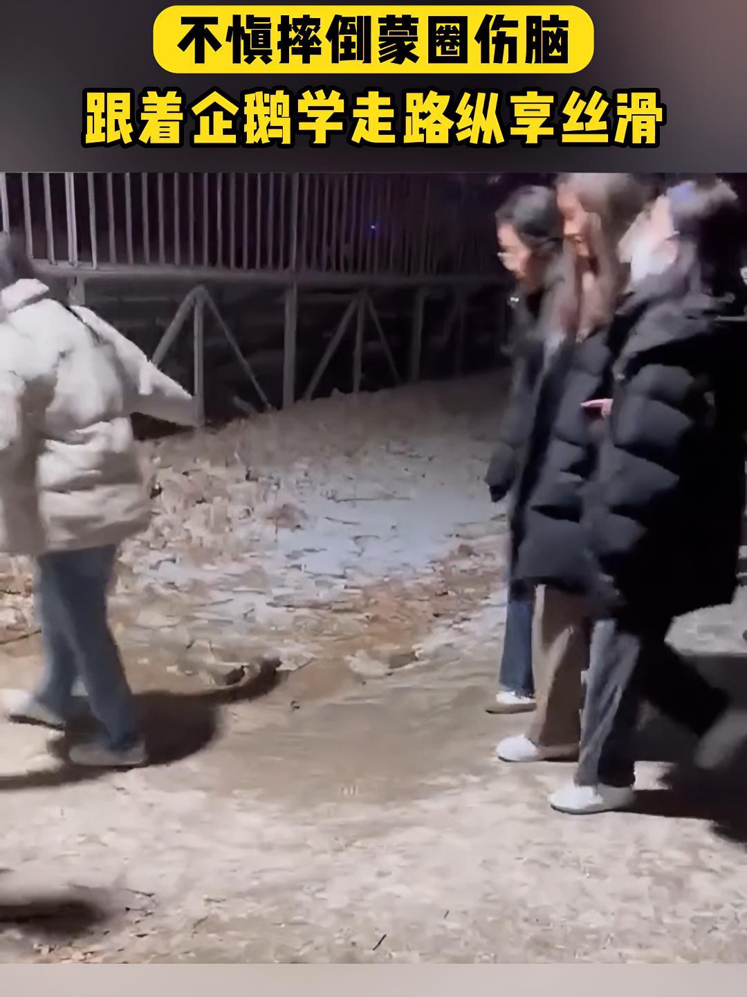 雨雪路滑 双手请勿揣兜,跟着企鹅学走路纵享丝滑