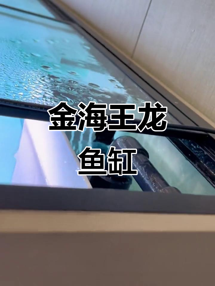 北京金海王水族龙鱼缸:高端定制与智能设计完美结合