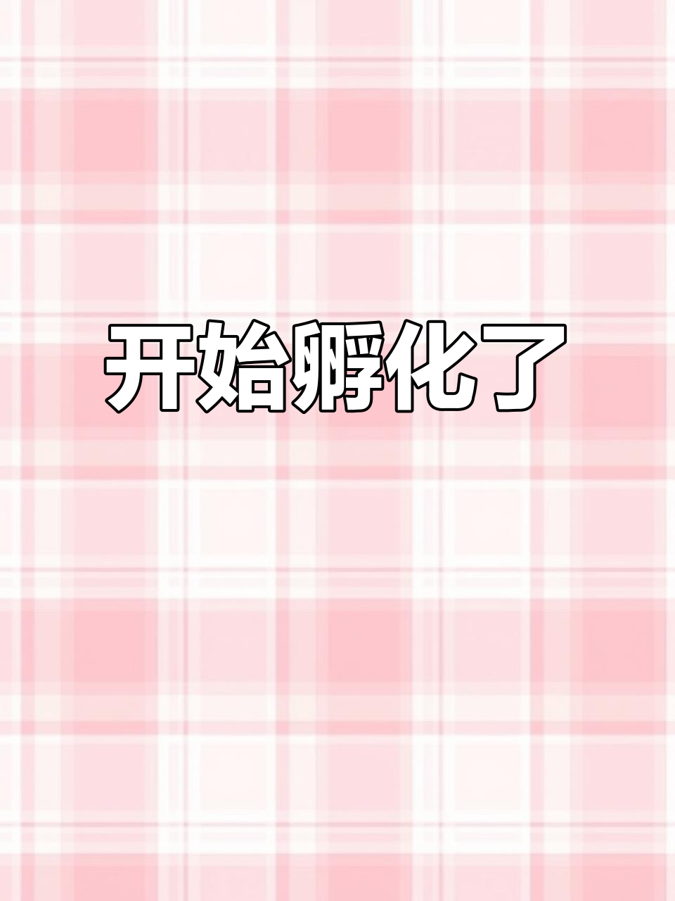 薰衣草白味鸡蛋孵化全过程,21天就能迎来新生命