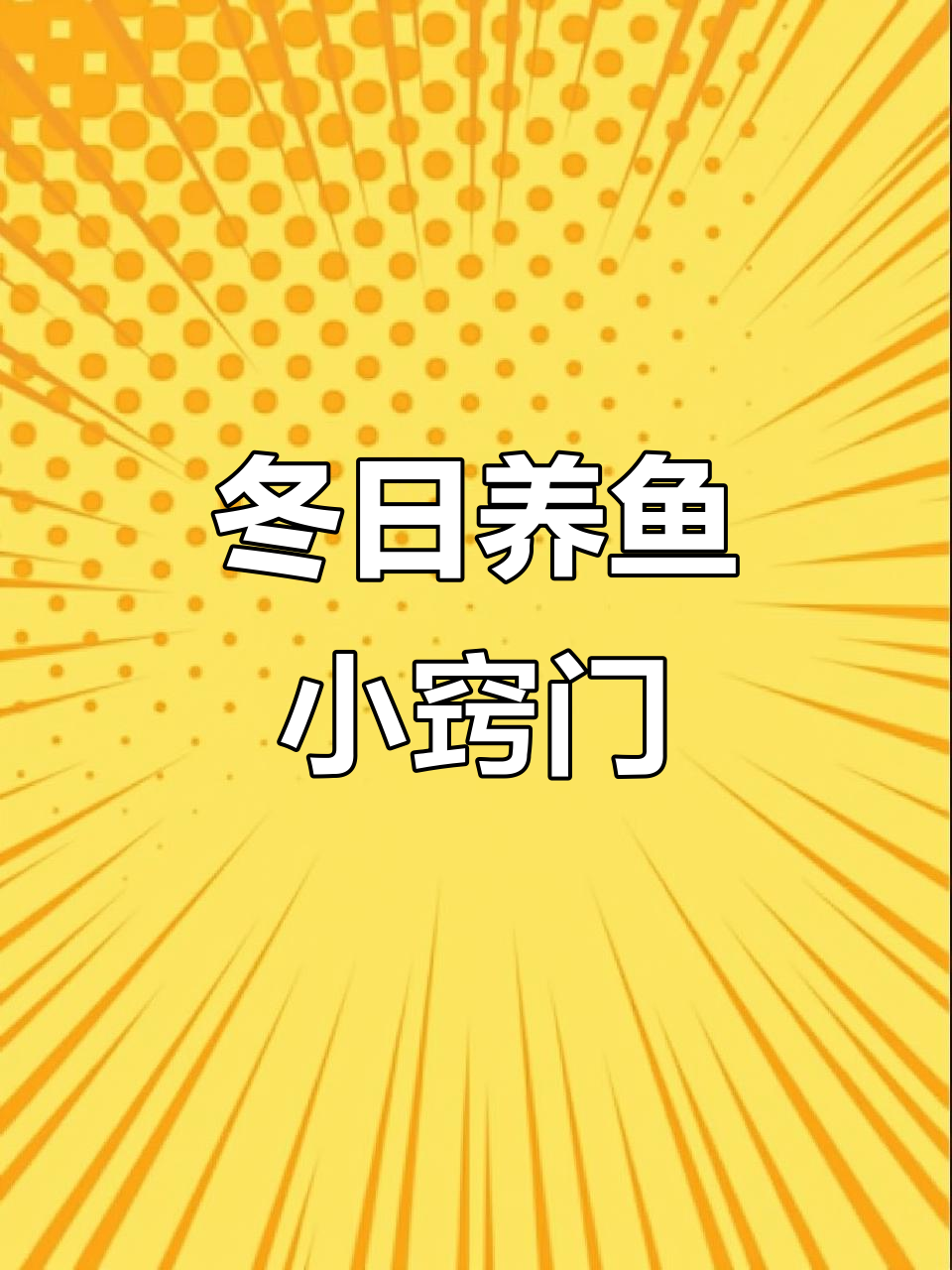这款陶瓷鱼缸,冬季养鱼轻松又美观,几片一叶莲增添生机