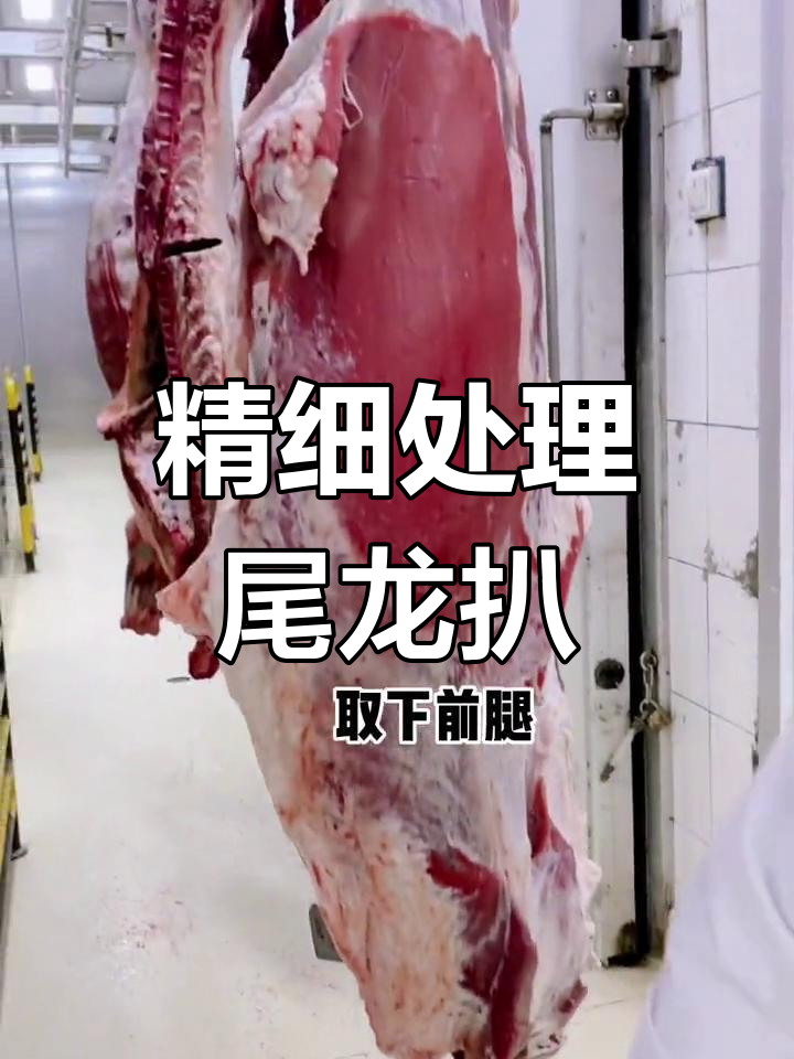 尾龙扒的独特制作工艺,新鲜食材带来绝佳口感