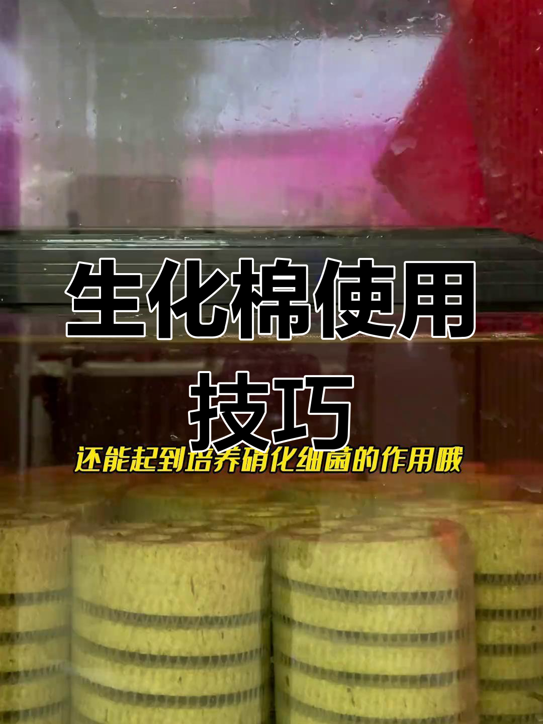 生化棉在鱼缸过滤中的妙用,解决噪音与杂质问题