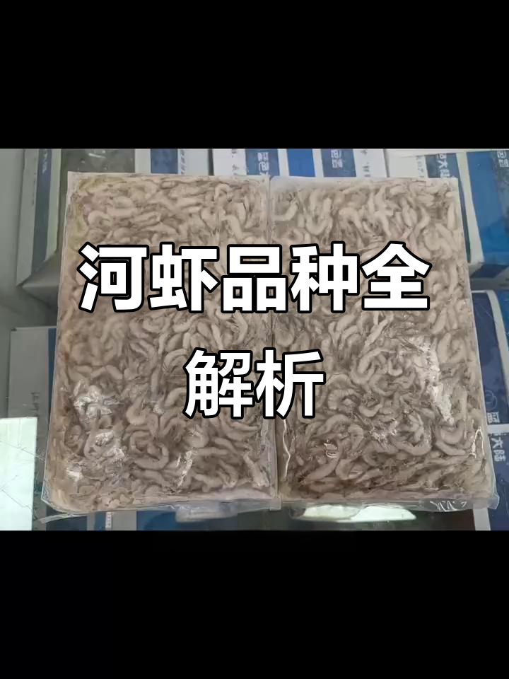 河虾种类大揭秘:国产、印度都有哪些不同规格