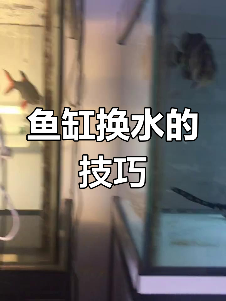 如何正确困水,减少鱼缸水质波动