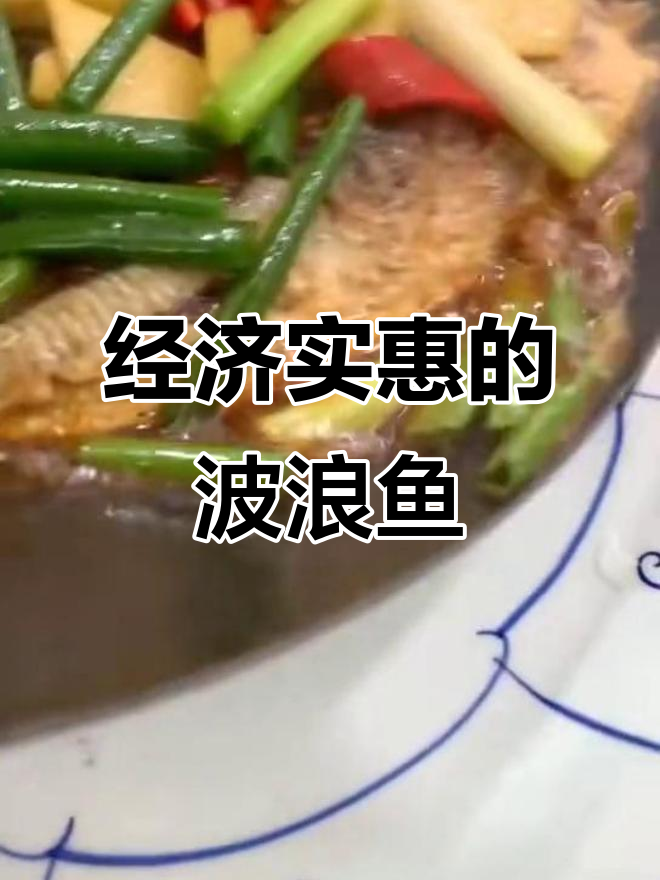 新鲜美味波浪鱼,经济又实惠!