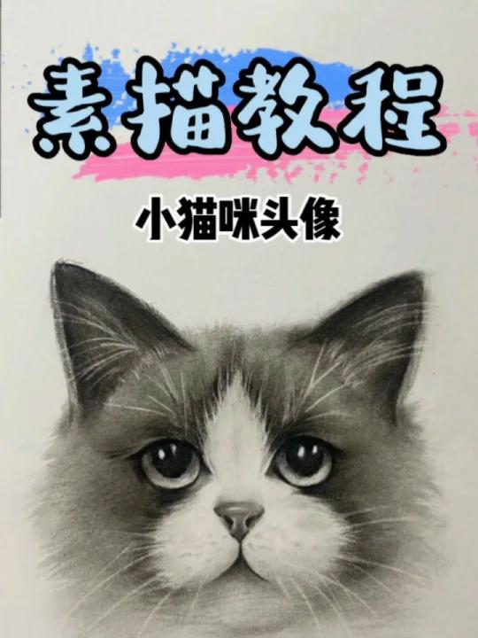 如何画好一只可爱的小猫咪头像!
