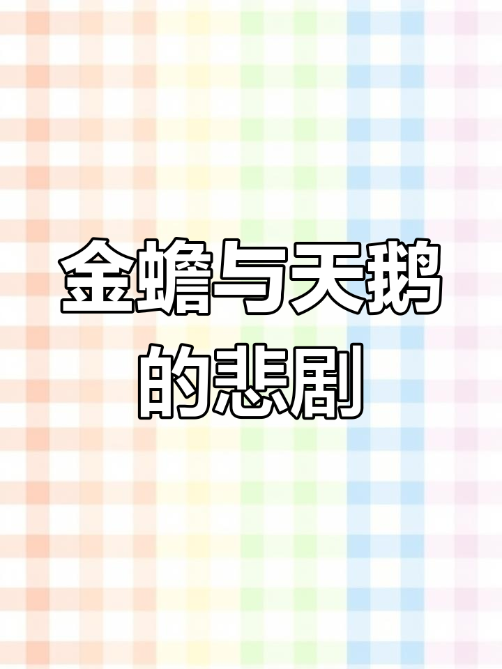 金蟾痴情求药,天鹅终变惊蝉