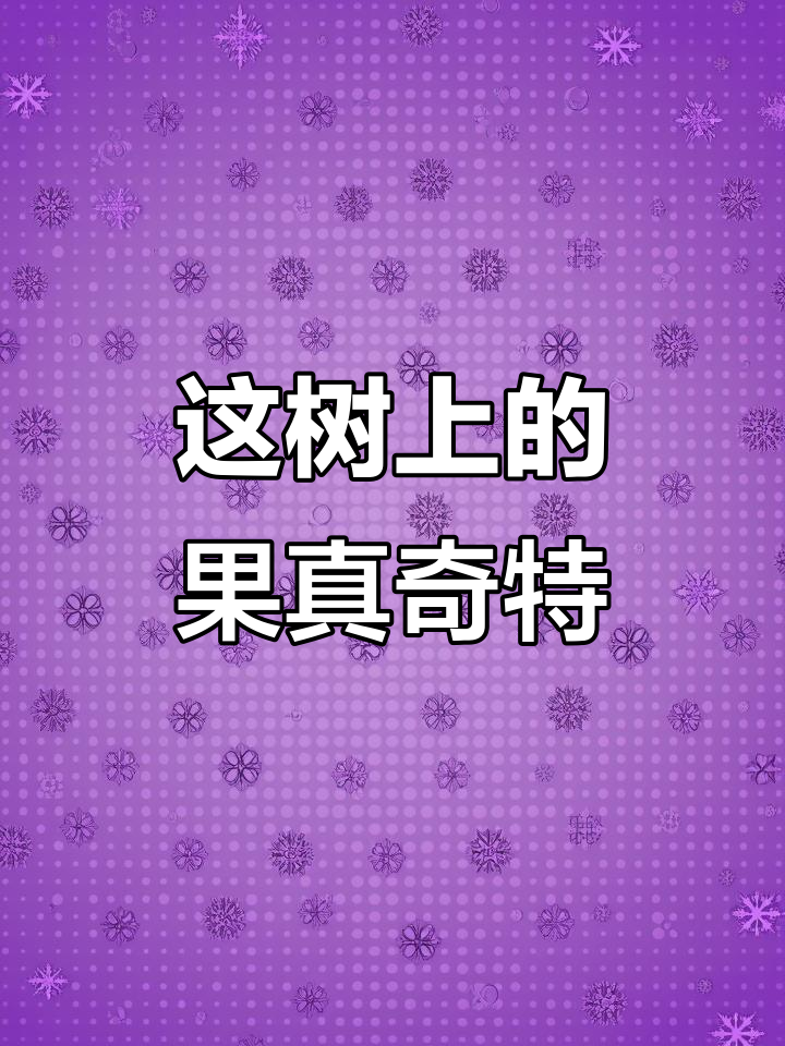 树上结的果子太特别了,每天都能摘来吃!