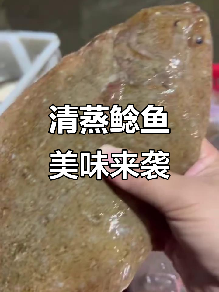 深夜美食放毒:清蒸鲶鱼与碟鱼的完美搭配