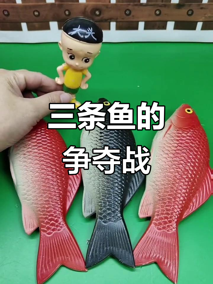 兄弟们为了三条鱼争得不可开交,结果竟然这样分配!