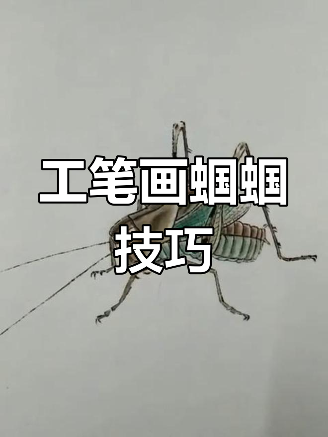 轻松学工笔草虫,蝈蝈画法全解析