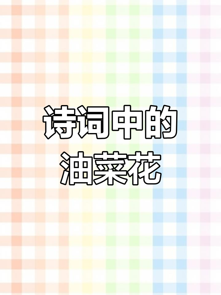 油菜花与诗词的美丽邂逅,诗意盎然的春天