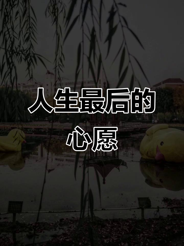 临终前最想做的,是回到故乡。大黄鸭成了塘沽的永恒记忆