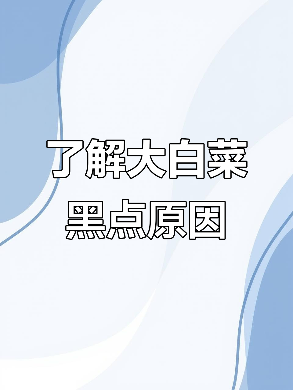 大白菜芝麻状斑点病解析:如何避免影响健康