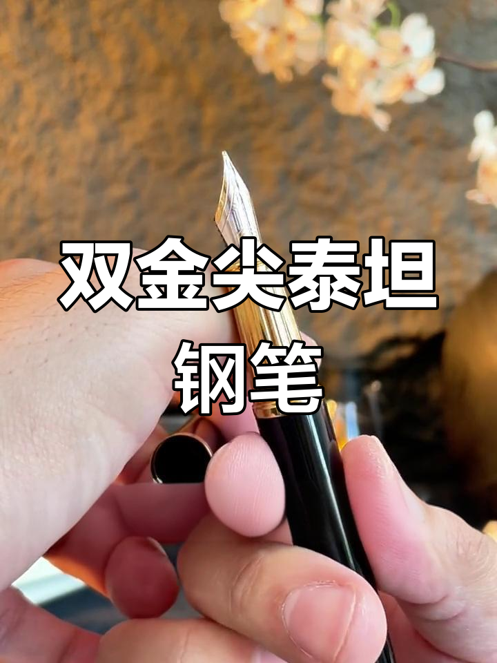 派克泰坦金笔,豪华双尖设计