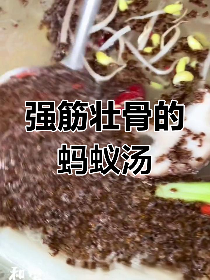 重庆鱼巴巴乌鱼馆:蚂蚁汤的秘密