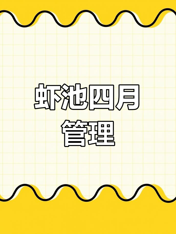 四月虾池管理:定期换水、补钙,保持水质健康