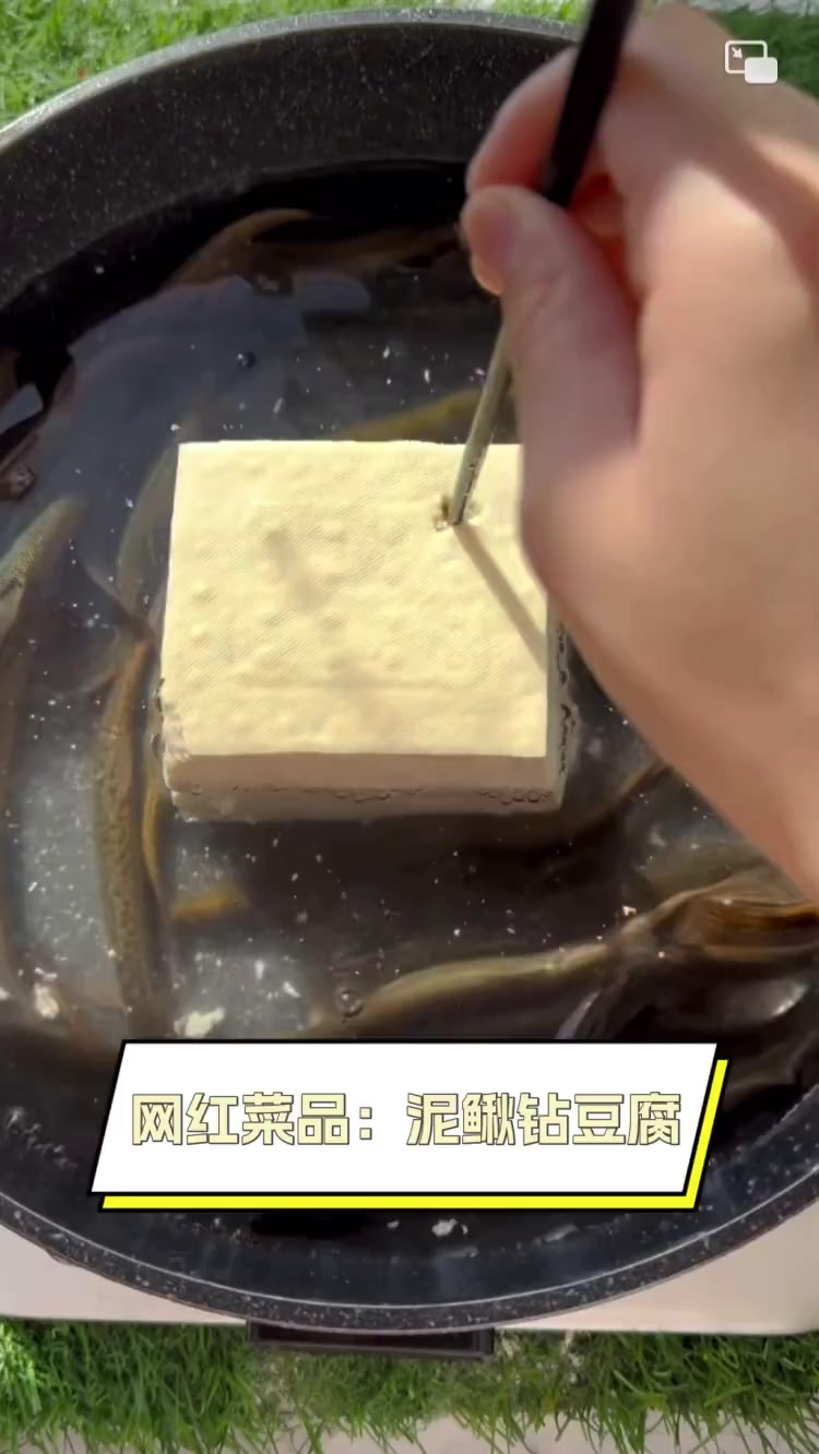 网红菜品:泥鳅钻豆腐