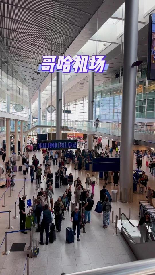 哥哈机场免税店应该买盒蓝罐曲奇吗?