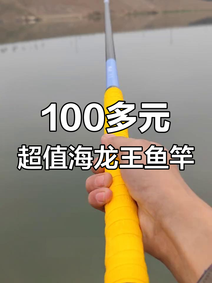 海龙王M'self综合鱼竿,轻便耐用,适合休闲野钓