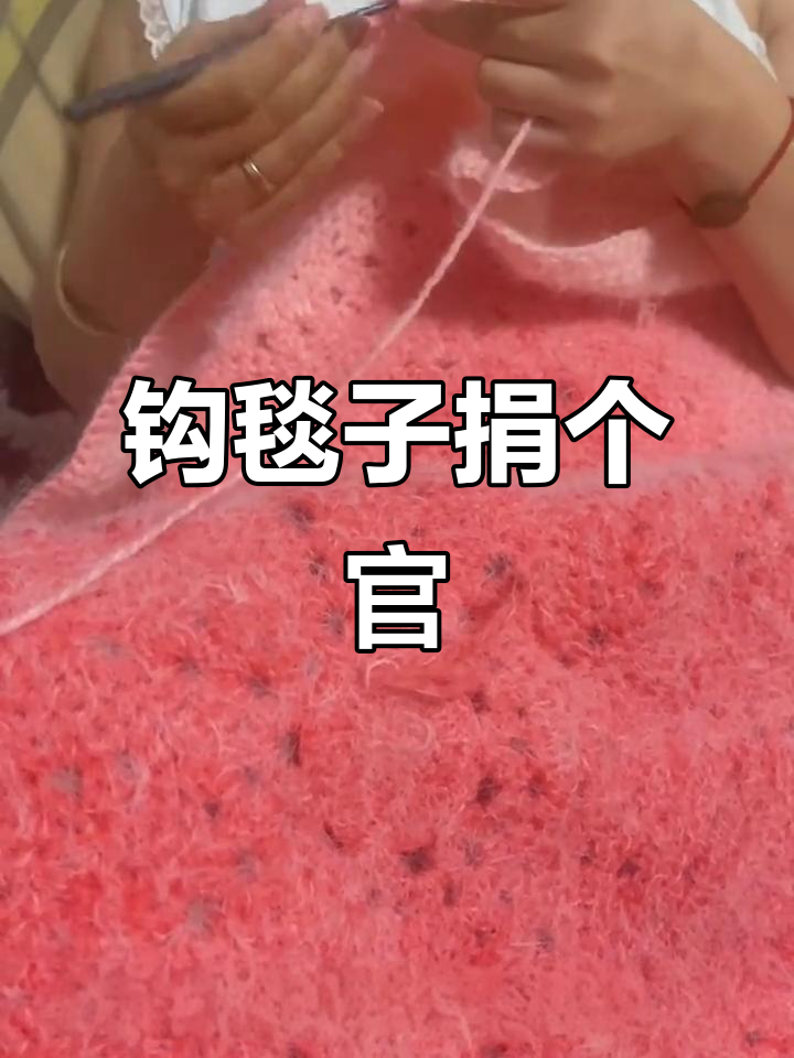 小白菜地里黄,钩毯子做官梦