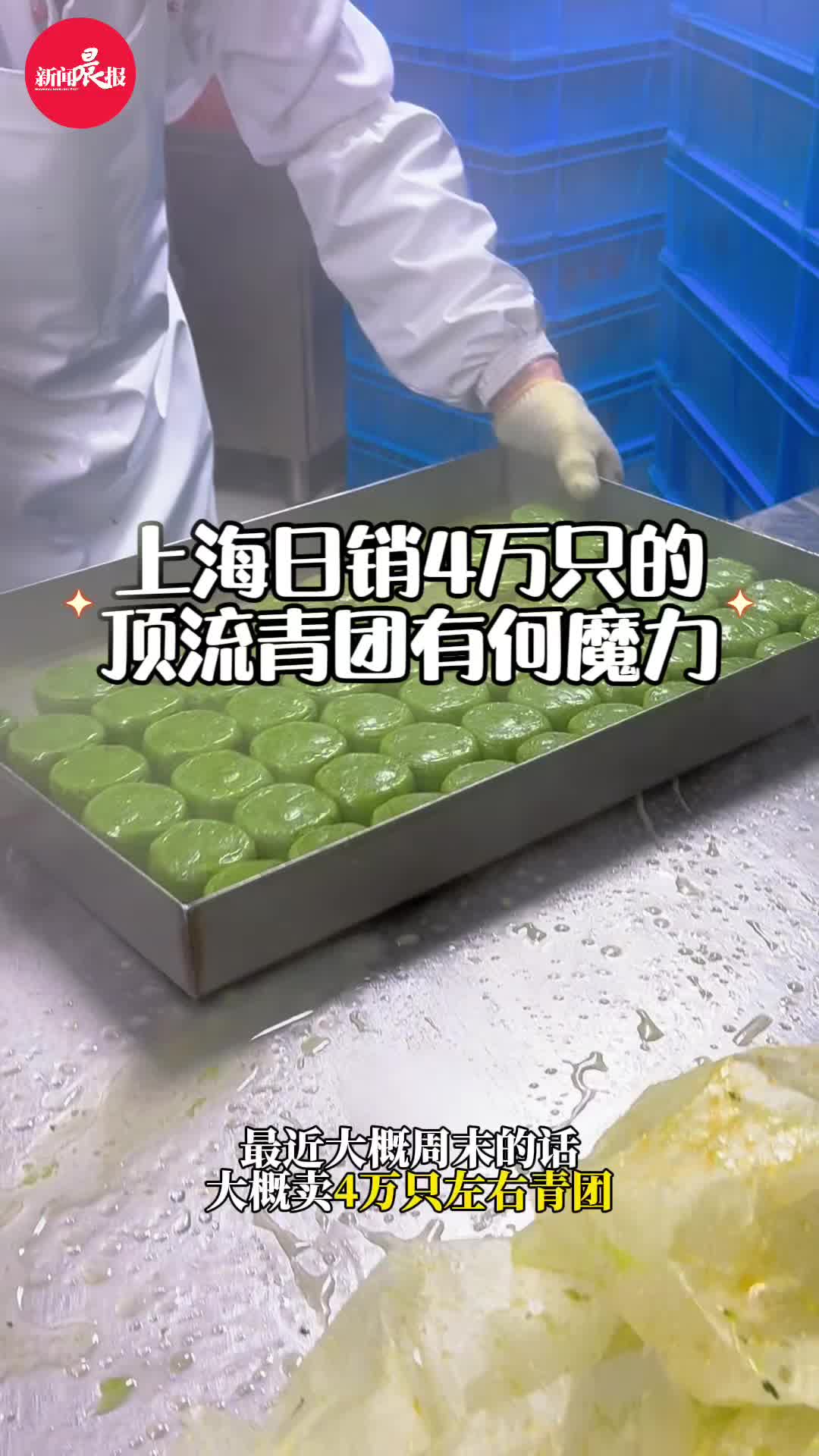 上海日销4万只的顶流青团有何魔力