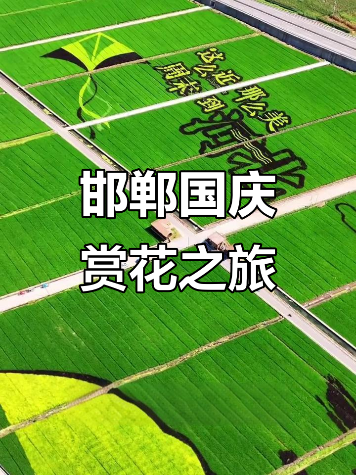 国庆邯郸一日游,千亩花海免费开放,尽享自然美景