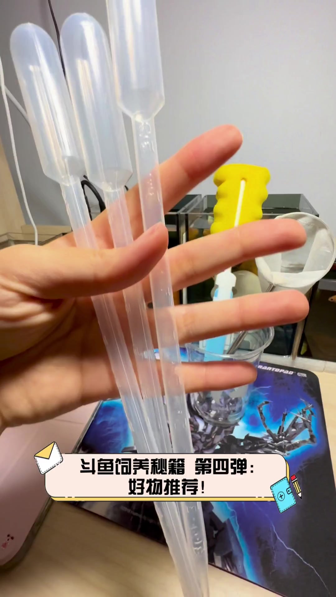 斗鱼饲养秘籍,第四弹:好物推荐!