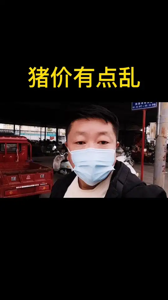 近期猪价走势对三农领域有何影响？