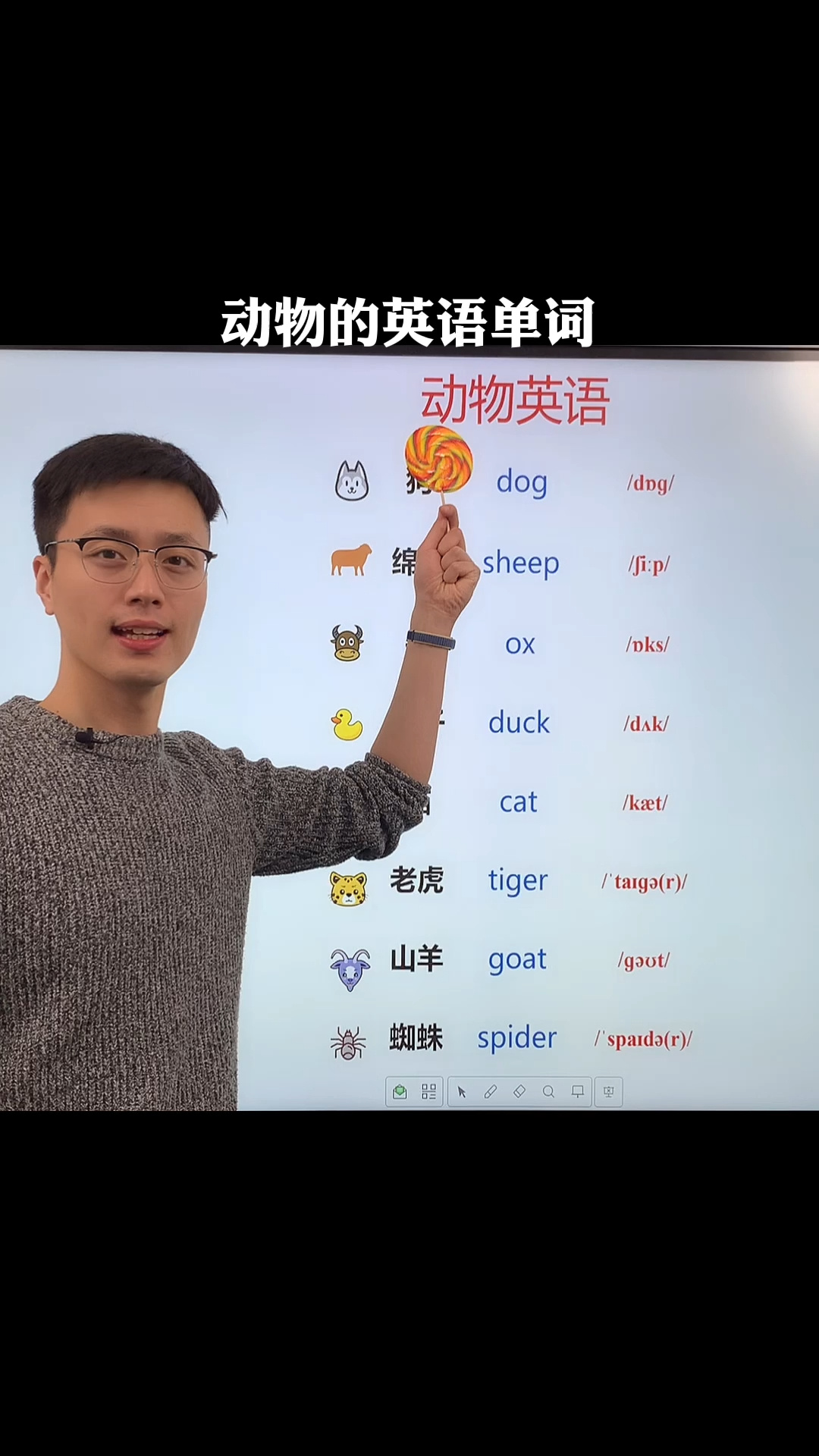 动物的英文单词,你都会读吗?