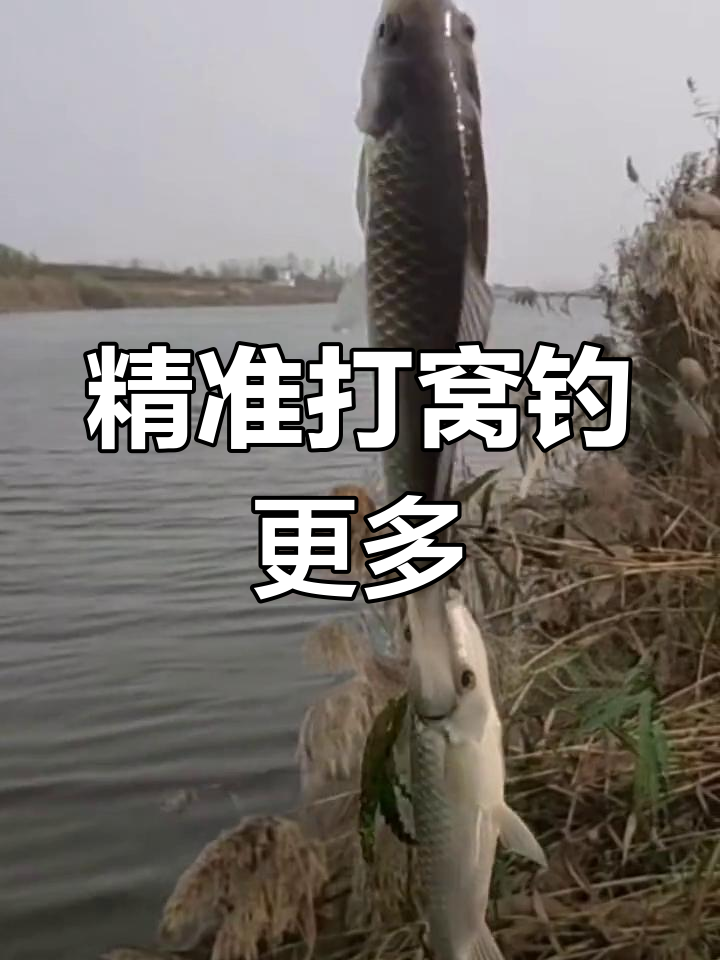 串钩打窝器让钓鱼更精准,诱鱼聚鱼效果惊人