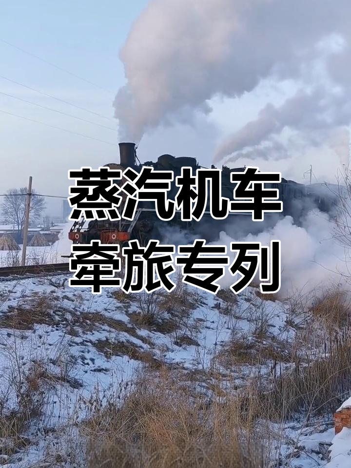 国内罕见蒸汽机车牵引旅游专列,穿越时光的独特体验