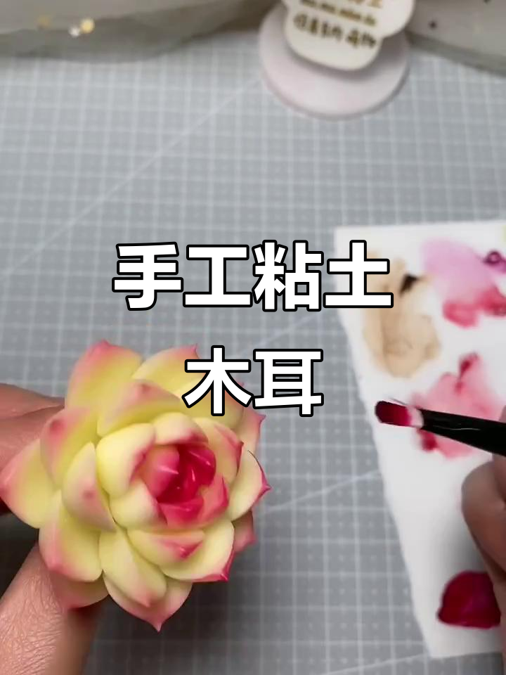 粘土多肉制作教程,轻松打造可爱小植物