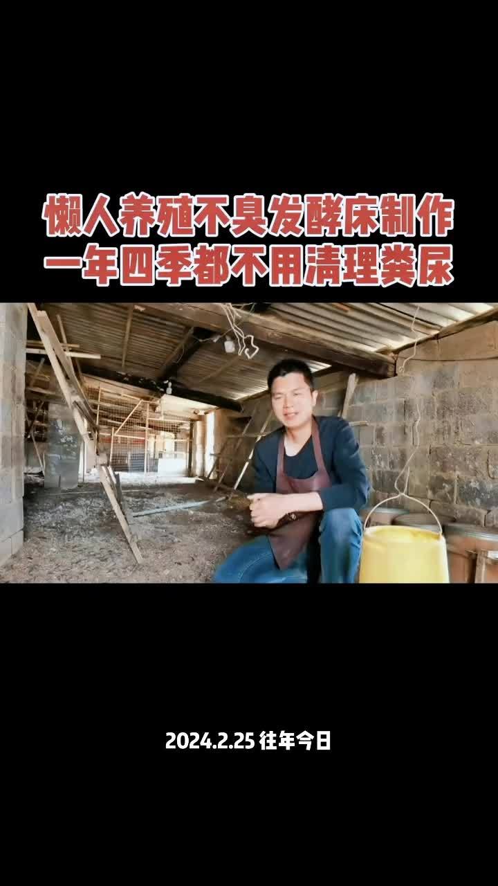 养殖 养鸡 农村散养土鸡 发酵床 内容启发搜索 懒人养殖发酵床菌种兽用