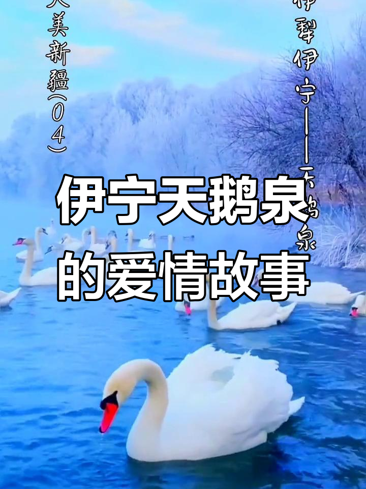 新疆伊犁天鹅泉,爱情与自然的完美邂逅