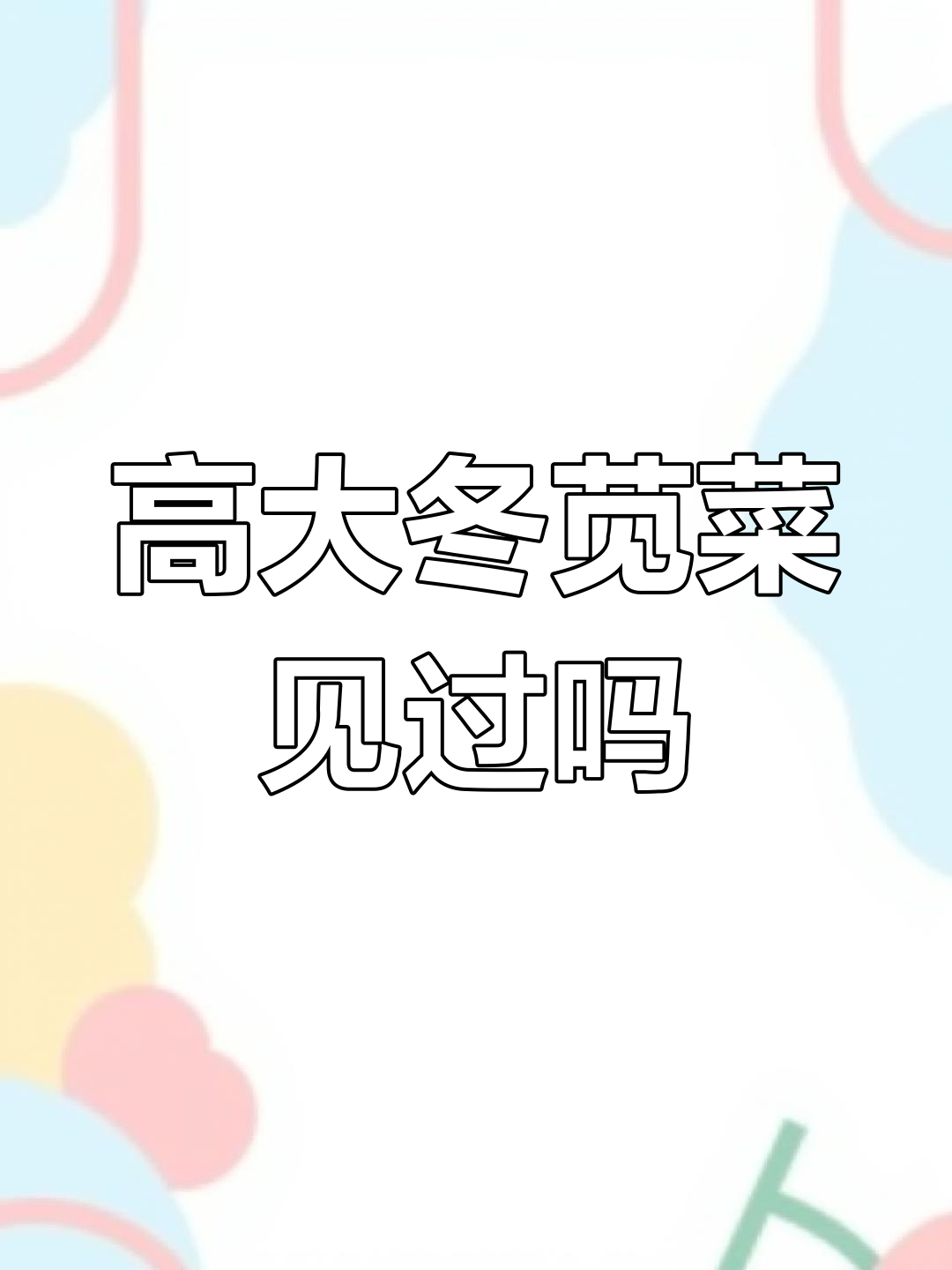 湖南长沙建北镇的巨型冬苋菜,比人还高!