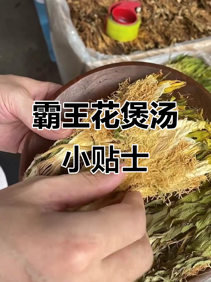 越南霸王花避坑指南,肇庆剑花煲汤技巧