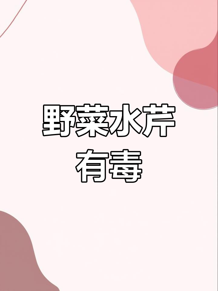 水芹菜与毒草豚草的区别,别误食!