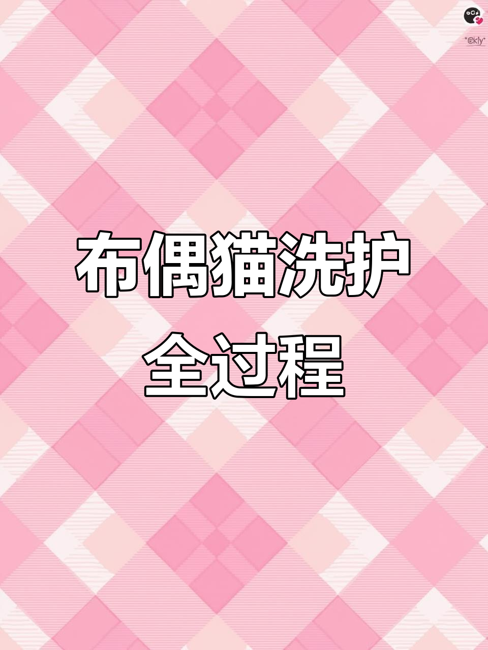 布偶猫洗澡翻新,毛发打结、毛囊炎全搞定